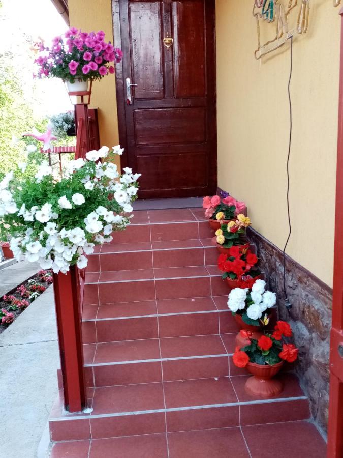 Casa Voica Appartement Turda Buitenkant foto